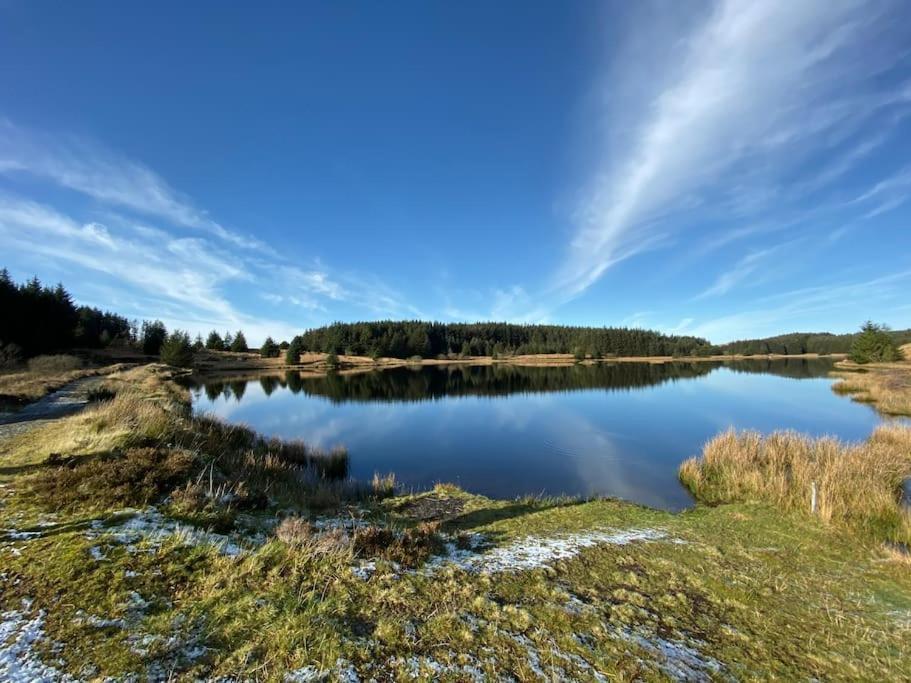 Bear Cottage, Tyn Y Cwm Eglwys-Fach Buitenkant foto
