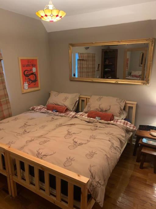 Bear Cottage, Tyn Y Cwm Eglwys-Fach Buitenkant foto
