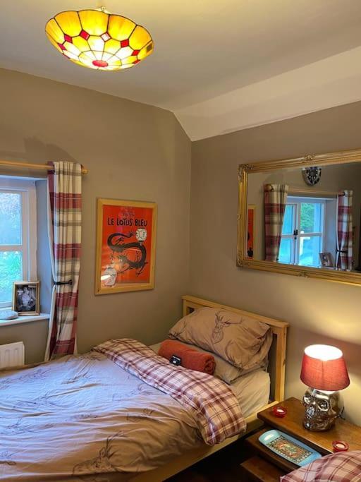 Bear Cottage, Tyn Y Cwm Eglwys-Fach Buitenkant foto